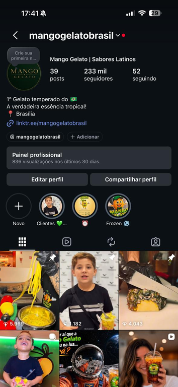 Perfil @mangogelatobrasil